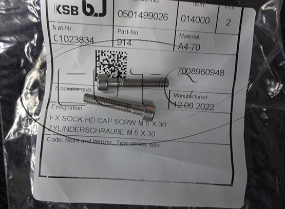 Socket Screw Hex KSB 01023834