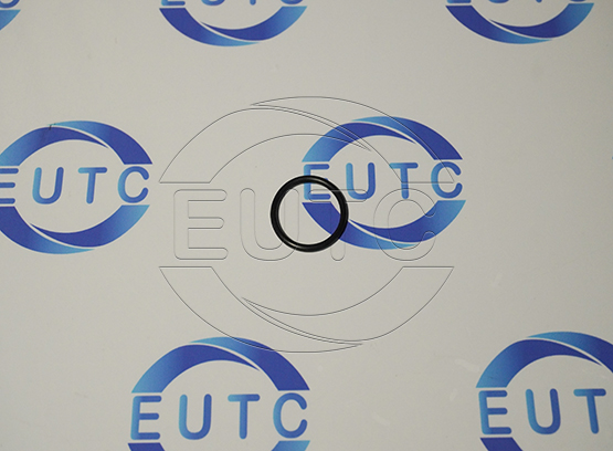O-RING 20 x 2 NBR/Actuator PS2/Handtmann