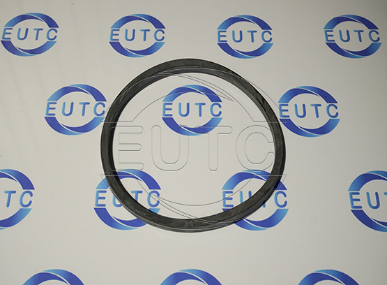 Gasket DN125 EPDM 11104 DIN 11851/Handtmann