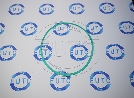 Gasket, Valve 1st Stage, NEAC code: 002808