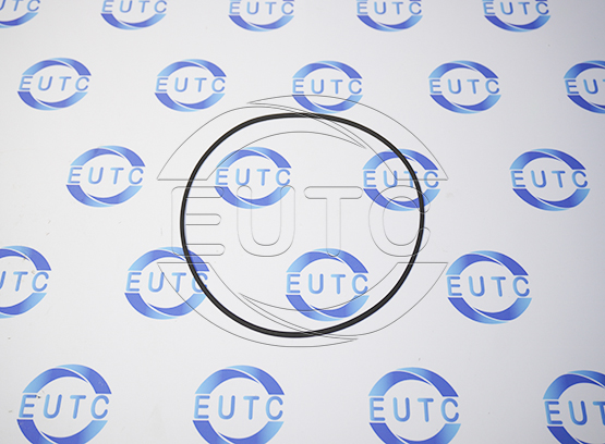 O-ring pos.94 - TZS25-250/120, NEAC code: 000469