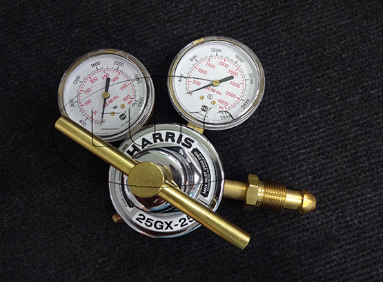 Gauge 25GX-250-BS3