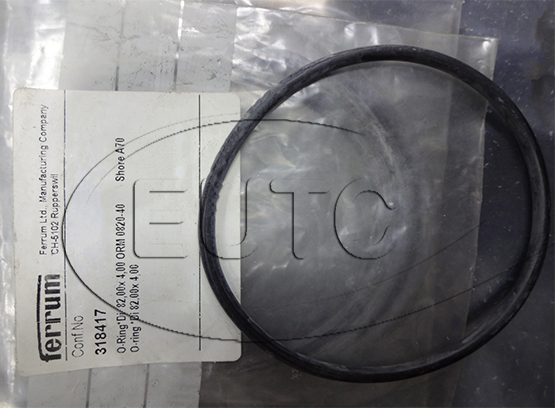 O-RING