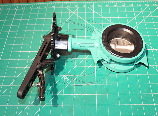 Valve Butterfly
