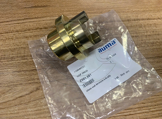 Steam nut for output drive type A. Actuator model SA 07.6-F07