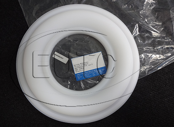 EXTERNAL DIAPHRAGM PTFE - POS 13