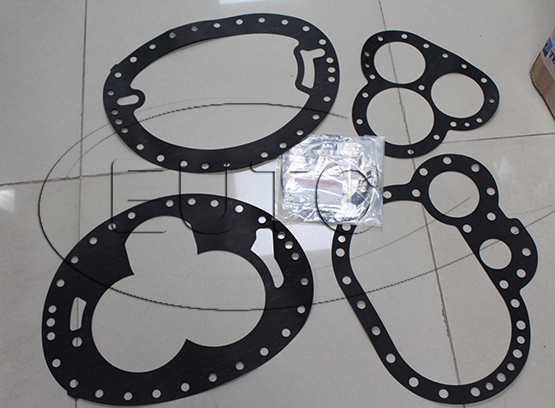 Gasket set CS7119-DVD