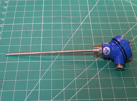 Can nhiệt E52MY-PT20C