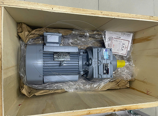 Động cơ liền giảm tốc GR59 - Y2.2 - 4P - 9.06 - M1