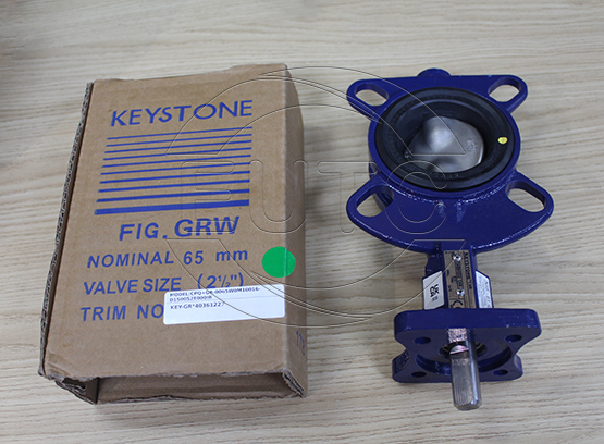 Van bướm DN65 Keystone