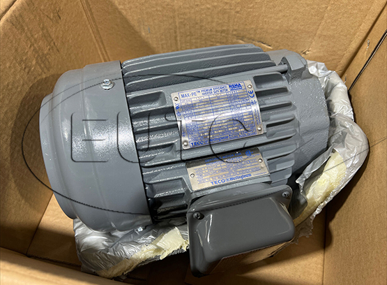 Cast Iron Electric Motor