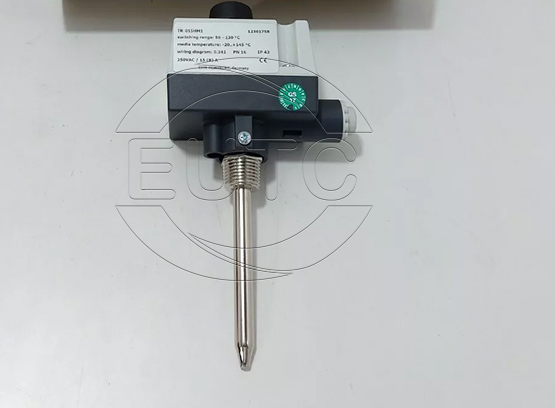 Temperature switch