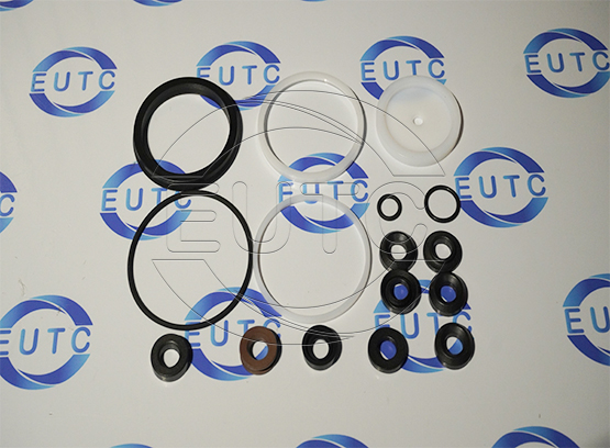 Sealing kit Dx2D31